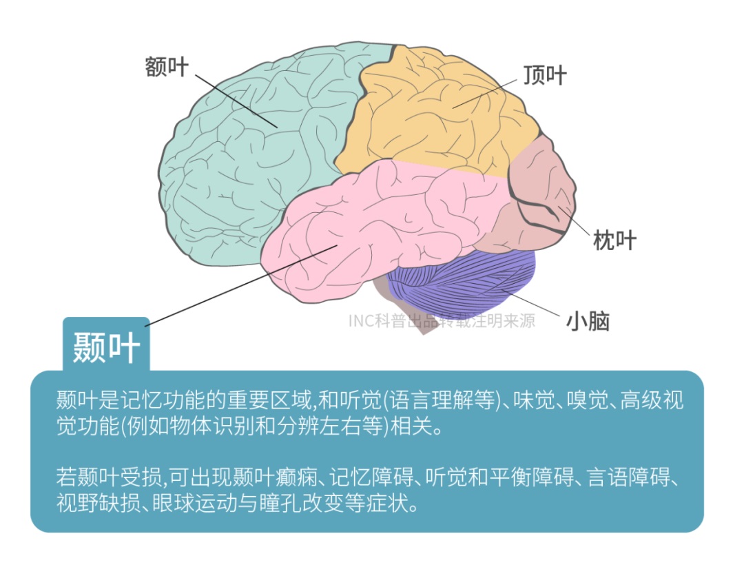 儿童胶质瘤