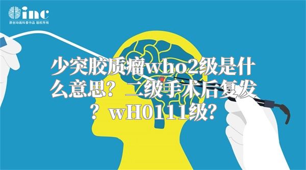 少突胶质瘤who2级是什么意思？二级手术后复发？wH0111级？
