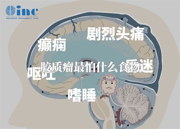 胶质瘤最怕什么食物
