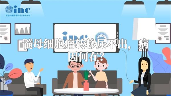 髓母细胞瘤转移尿不出，病因何在？