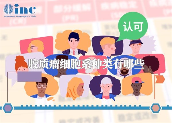 胶质瘤细胞系种类有哪些