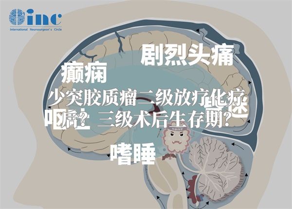 少突胶质瘤二级放疗化疗后？三级术后生存期？