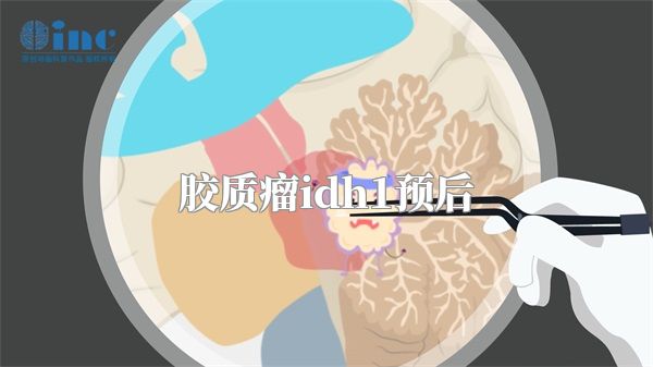 胶质瘤idh1预后