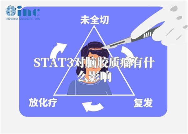 STAT3对脑胶质瘤有什么影响