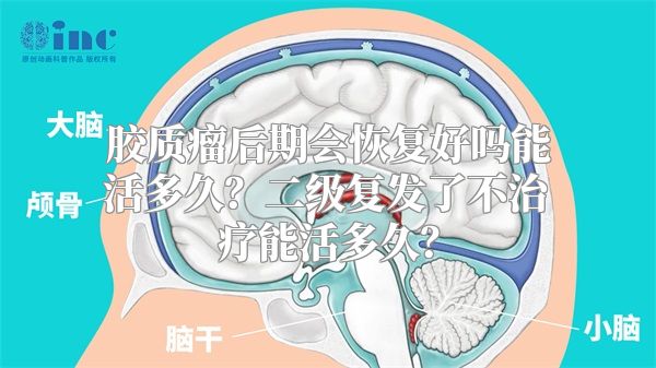 胶质瘤后期会恢复好吗能活多久？二级复发了不治疗能活多久？