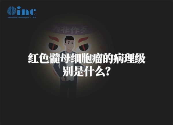 红色髓母细胞瘤的病理级别是什么？