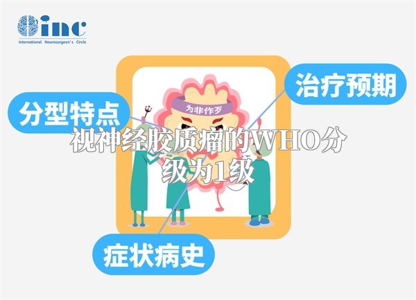 视神经胶质瘤的WHO分级为1级