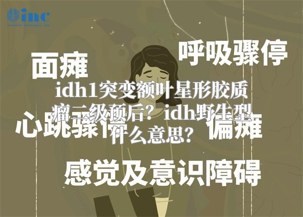 idh1突变额叶星形胶质瘤二级预后？idh野生型什么意思？