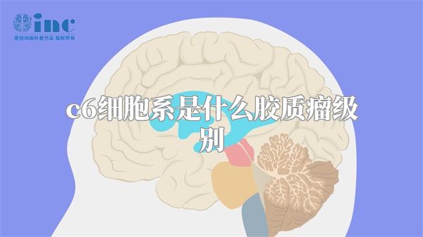 c6细胞系是什么胶质瘤级别