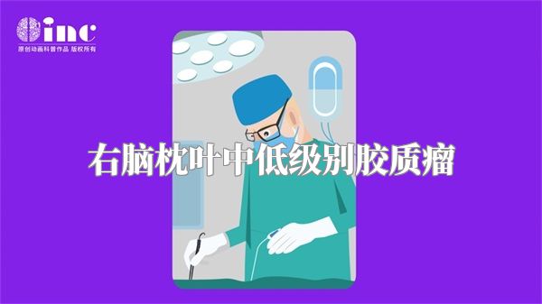 右脑枕叶中低级别胶质瘤