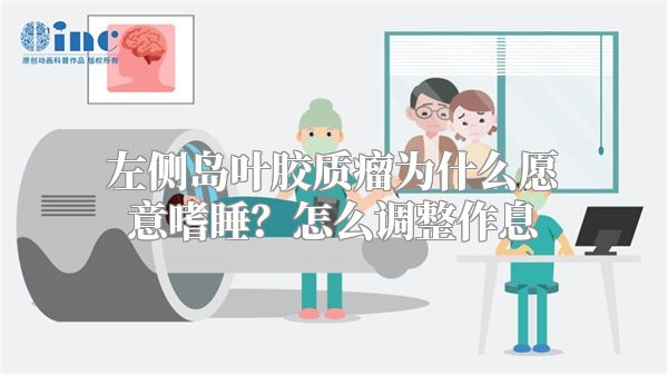 左侧岛叶胶质瘤为什么愿意嗜睡？怎么调整作息