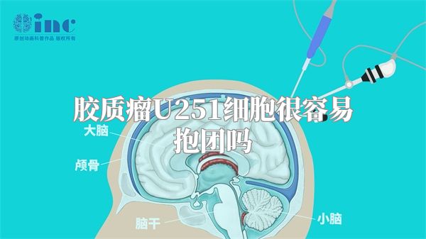 胶质瘤U251细胞很容易抱团吗