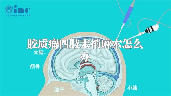 胶质瘤四肢末梢麻木怎么办