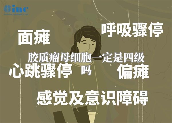 胶质瘤母细胞一定是四级吗