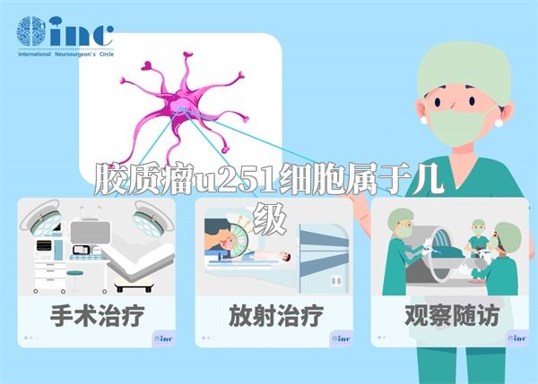 胶质瘤u251细胞属于几级