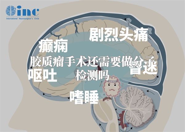 胶质瘤手术还需要做分子检测吗