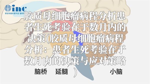 胶质母细胞瘤病程分析患者生死考验在于数月内的决策(胶质母细胞瘤病程分析：患者生死考验在于数月内的决策与应对策略)