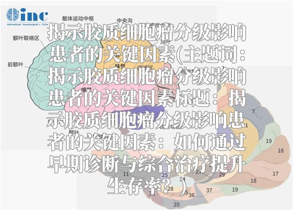 揭示胶质细胞瘤分级影响患者的关键因素(主题词：揭示胶质细胞瘤分级影响患者的关键因素标题：揭示胶质细胞瘤分级影响患者的关键因素：如何通过早期诊断与综合治疗提升生存率？)