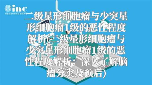 二级星形细胞瘤与少突星形细胞瘤1级的恶性程度解析(二级星形细胞瘤与少突星形细胞瘤1级的恶性程度解析：深入了解脑瘤分类及预后)