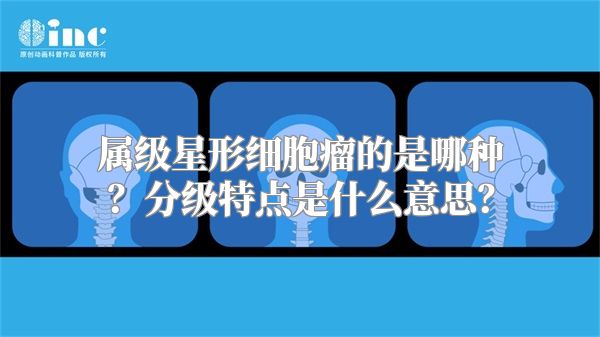 属级星形细胞瘤的是哪种？分级特点是什么意思？