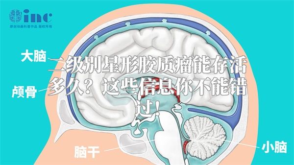 二级别星形胶质瘤能存活多久？这些信息你不能错过！