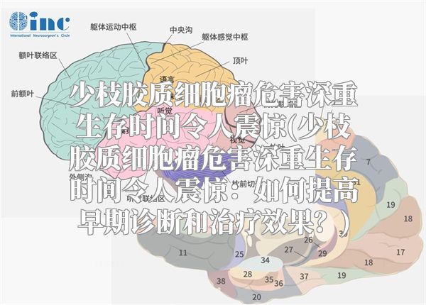 少枝胶质细胞瘤危害深重生存时间令人震惊(少枝胶质细胞瘤危害深重生存时间令人震惊：如何提高早期诊断和治疗效果？)