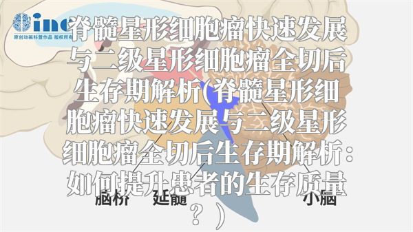 脊髓星形细胞瘤快速发展与二级星形细胞瘤全切后生存期解析(脊髓星形细胞瘤快速发展与二级星形细胞瘤全切后生存期解析：如何提升患者的生存质量？)