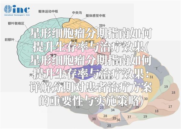 星形细胞瘤分期指南如何提升生存率与治疗效果(星形细胞瘤分期指南如何提升生存率与治疗效果：详解分期对患者治疗方案的重要性与实施策略)