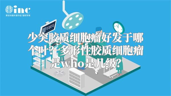 少突胶质细胞瘤好发于哪个叶？多形性胶质细胞瘤是who是几级？