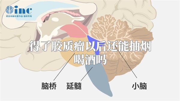 得了胶质瘤以后还能抽烟喝酒吗