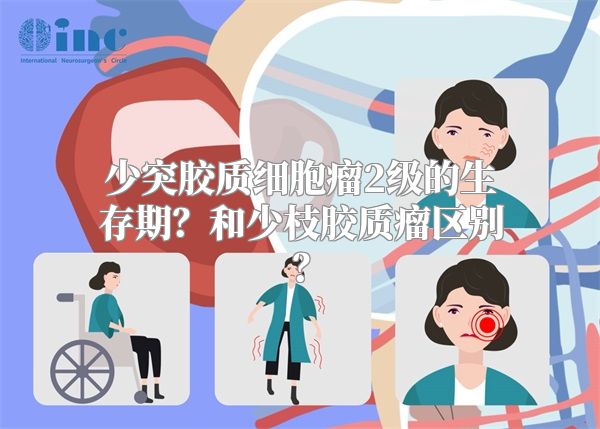 少突胶质细胞瘤2级的生存期？和少枝胶质瘤区别？