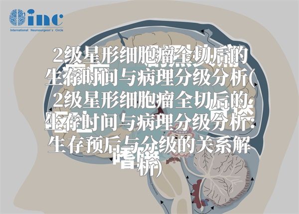 2级星形细胞瘤全切后的生存时间与病理分级分析(2级星形细胞瘤全切后的生存时间与病理分级分析：生存预后与分级的关系解析)