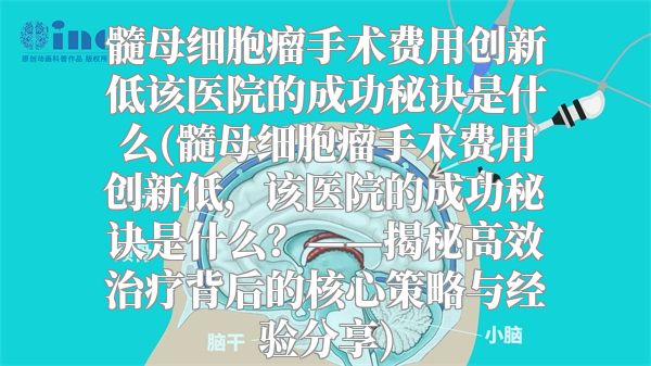 髓母细胞瘤手术费用创新低该医院的成功秘诀是什么(髓母细胞瘤手术费用创新低，该医院的成功秘诀是什么？——揭秘高效治疗背后的核心策略与经验分享)