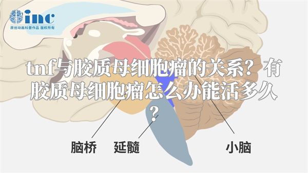 tnf与胶质母细胞瘤的关系？有胶质母细胞瘤怎么办能活多久？