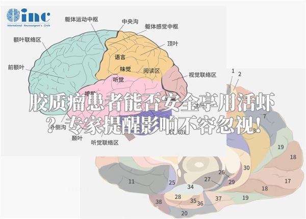 胶质瘤患者能否安全享用活虾？专家提醒影响不容忽视！