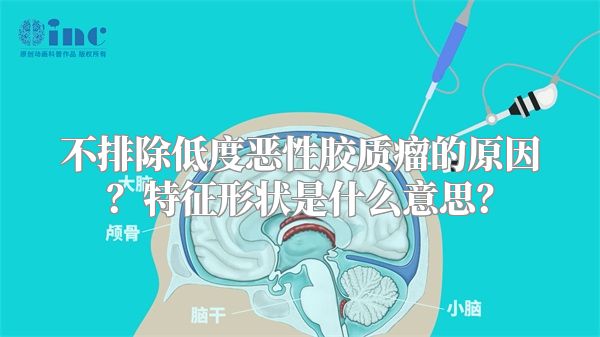不排除低度恶性胶质瘤的原因？特征形状是什么意思？