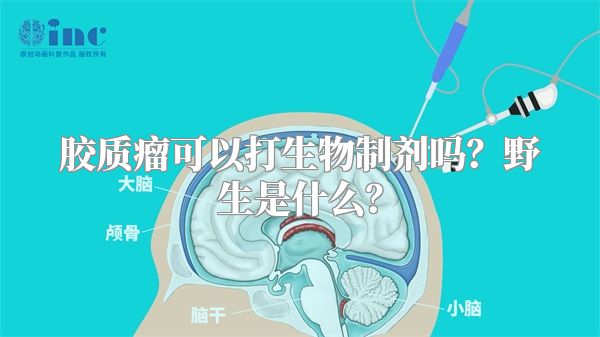 胶质瘤可以打生物制剂吗？野生是什么？