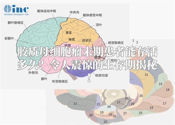 胶质母细胞瘤末期患者能存活多久？令人震惊的生存期揭秘！