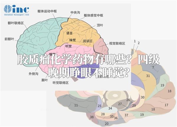 胶质瘤化学药物有哪些？四级晚期睁眼不睡觉？