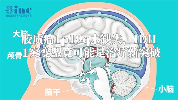 胶质瘤1p19q未缺失，IDH-1突变型竟可能是治疗新突破！