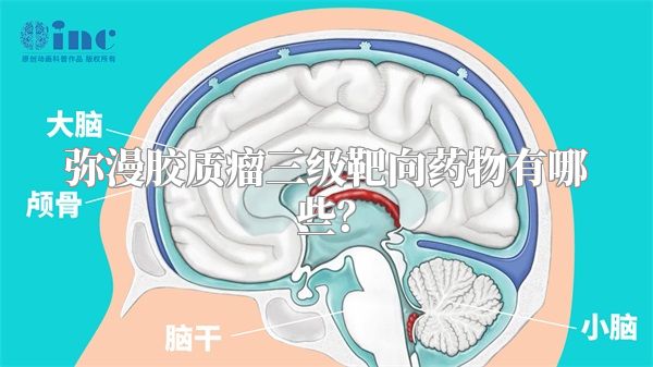 弥漫胶质瘤三级靶向药物有哪些？