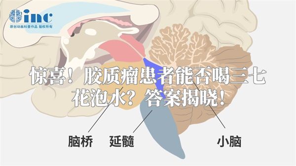 惊喜！胶质瘤患者能否喝三七花泡水？答案揭晓！