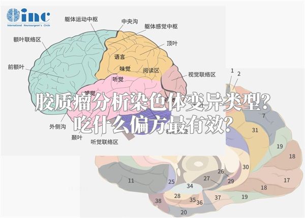 胶质瘤分析染色体变异类型？吃什么偏方最有效？