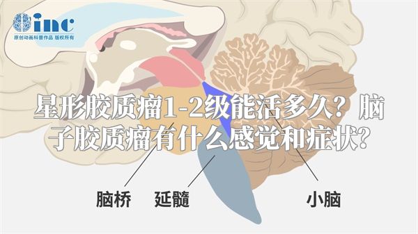 星形胶质瘤1-2级能活多久？脑子胶质瘤有什么感觉和症状？