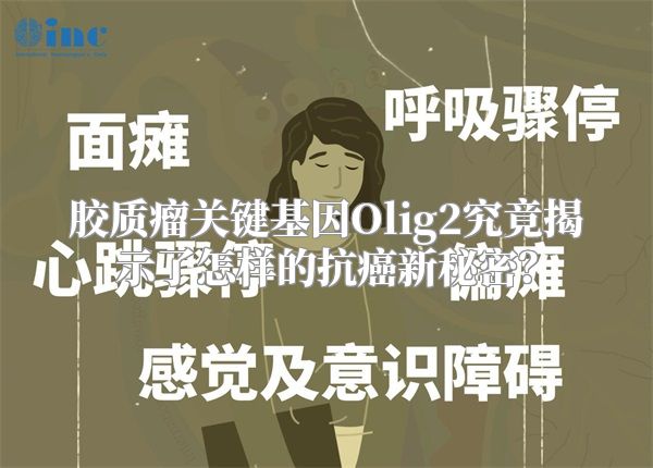 胶质瘤关键基因Olig2究竟揭示了怎样的抗癌新秘密？