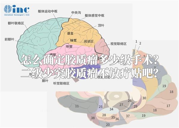 怎么确定胶质瘤多少级手术？二级少突胶质瘤不放疗贴吧？