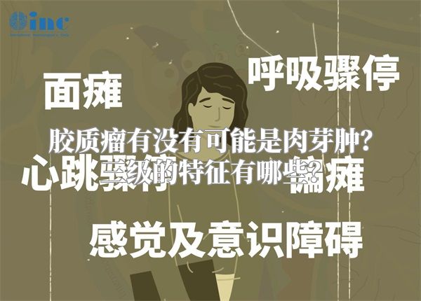 胶质瘤有没有可能是肉芽肿？三级的特征有哪些？