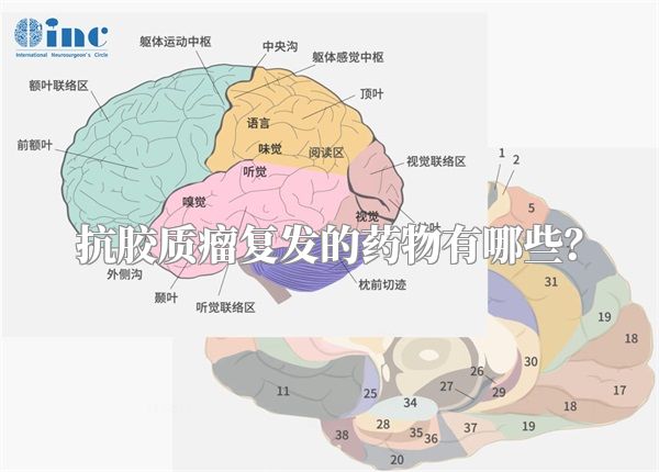 抗胶质瘤复发的药物有哪些？