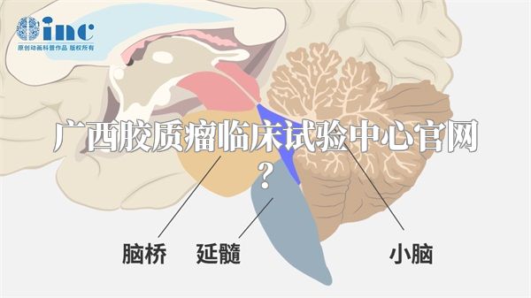 广西胶质瘤临床试验中心官网？