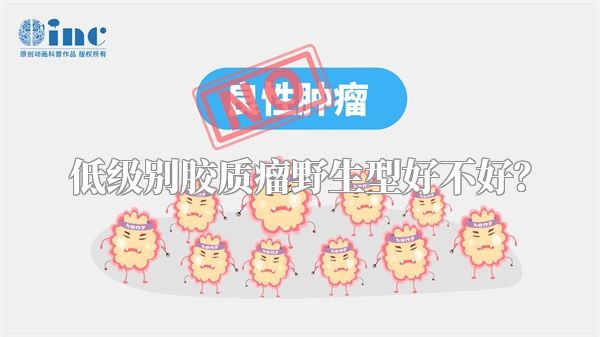 低级别胶质瘤野生型好不好？